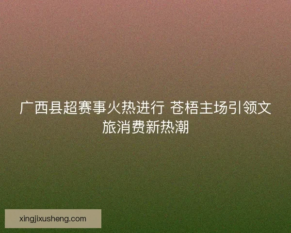 广西县超赛事火热进行 苍梧主场引领文旅消费新热潮