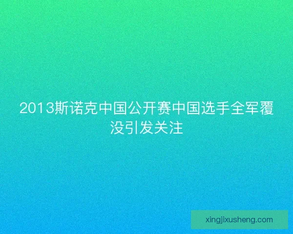 2013斯诺克中国公开赛中国选手全军覆没引发关注